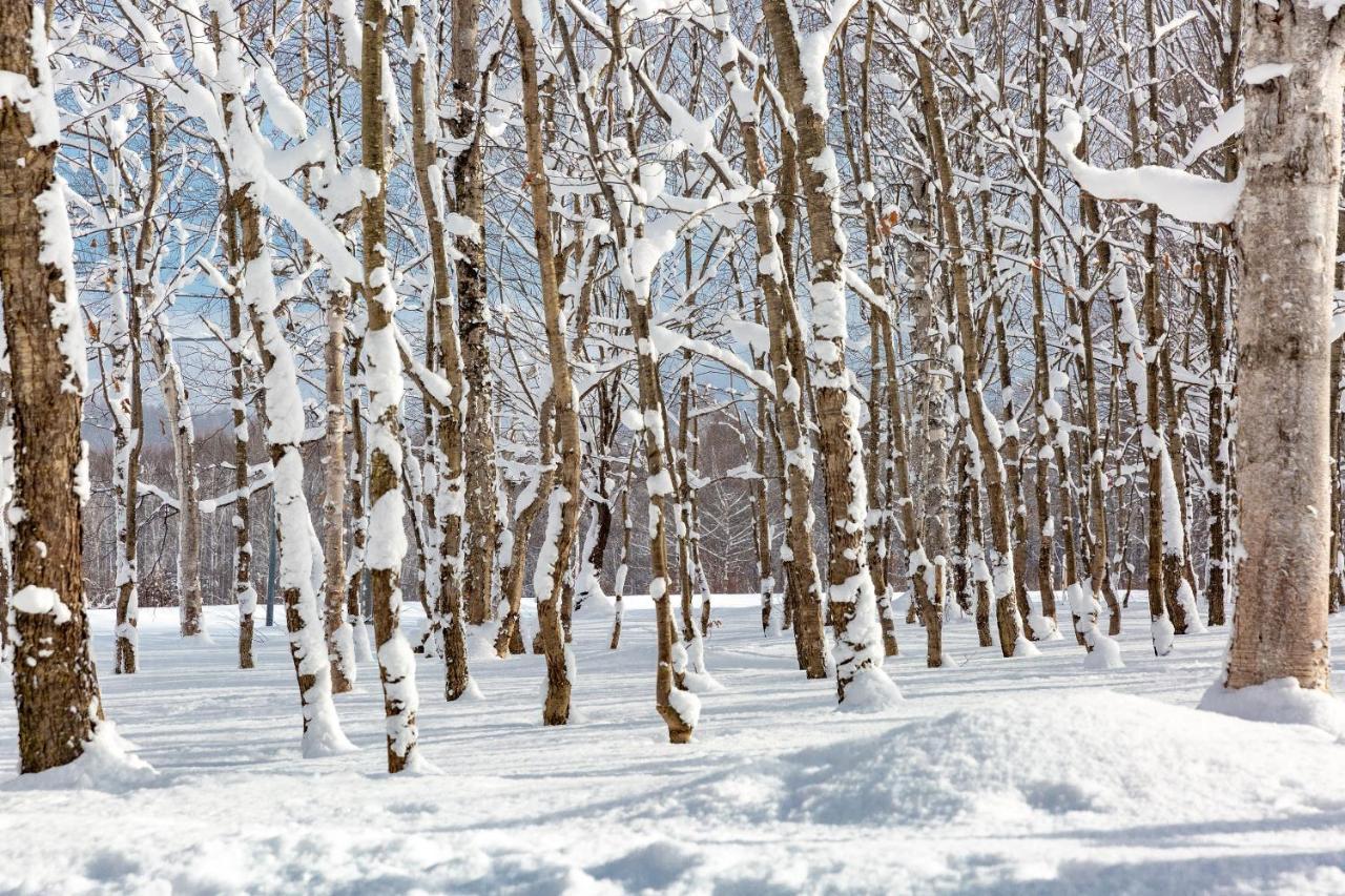 Andaru Collection Niseko Hotel คุตชาน ภายนอก รูปภาพ